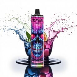 JNR Calavera 11000 Fekete Sárkány Jég - 850 mAh, 21ml, 0-5% nikotin