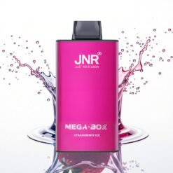 JNR Mega Box 25000 Eperjég 30ml 850mAh Típus-C